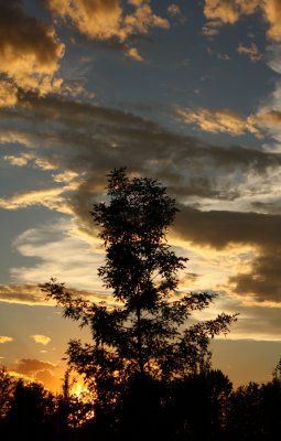 Front Pourch Sunset