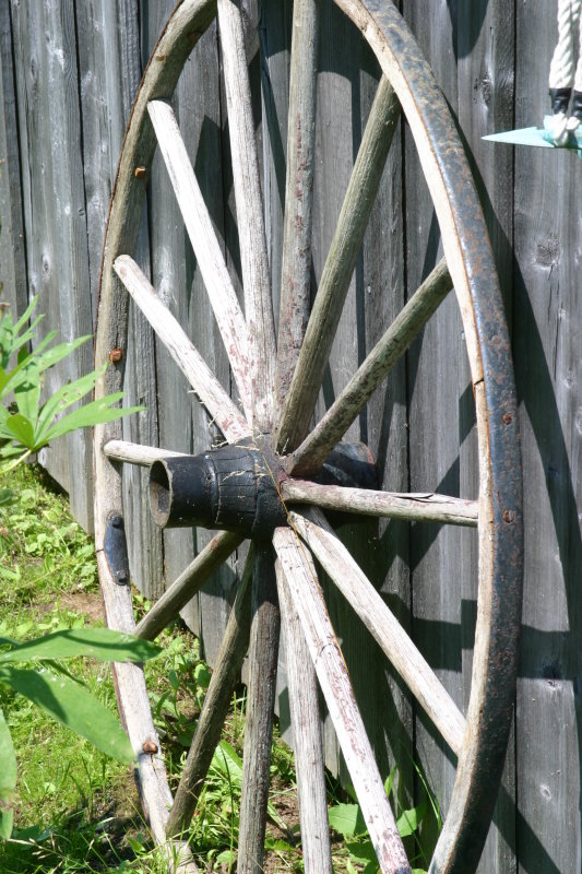 079  WAGON WHEEL