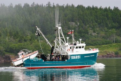 066  HERRING PURSE SEINER BRUNSWICK PROVIDER