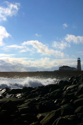 091  WINTER SHORELINE