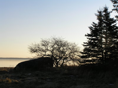 scenery_2007