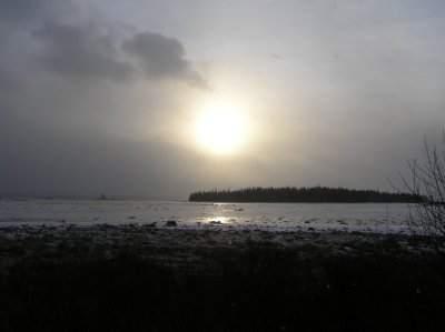 P1010003.JPG