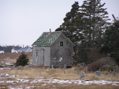 P1010006.JPG