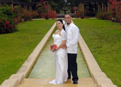 Wedding at the Park.