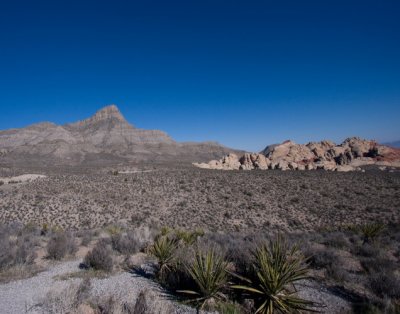 red rock canyon 162_1.jpg