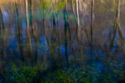 Ichetucknee Blue Hole