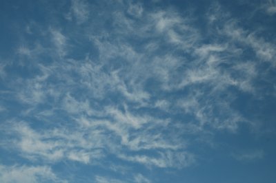 roil banner 1-2-2011 Middlebury.jpg