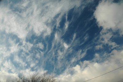 wispful 1-2-2011 Middlebury.jpg