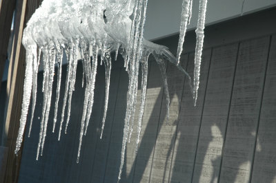 icicles on icicle 2-16-08 85.jpg
