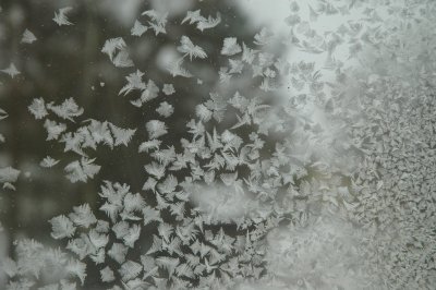 hatch 12-28-2010 63.jpg