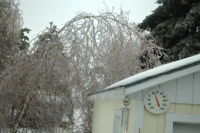 below freezing 3-9-08 55.jpg