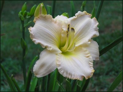 Praying For Miracles ffo-6-10-11