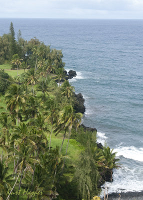 Maui 7