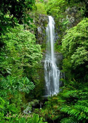 Maui 10