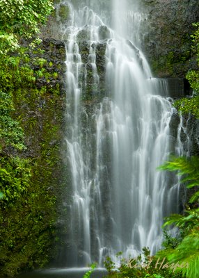 Maui 2011