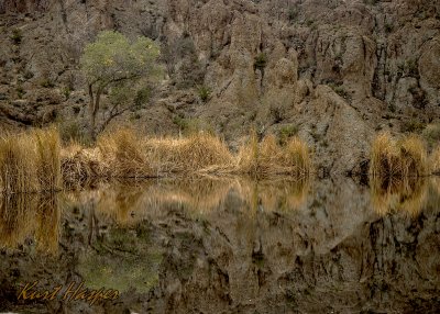 Boyce Thompson Arboretum - 6