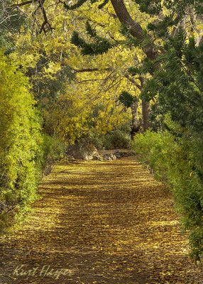 Boyce Thompson Arboretum - 3