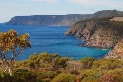 Scott Cove at Cape Borda