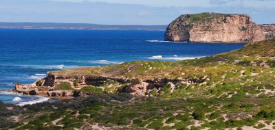 Seal Bay (expand this image to see the sea lions)
