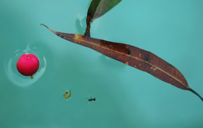 Floating