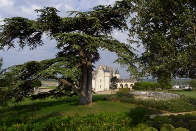 Amboise Chateau