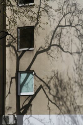 creeping shadow