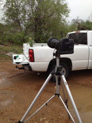 Wild Lantana setup shot