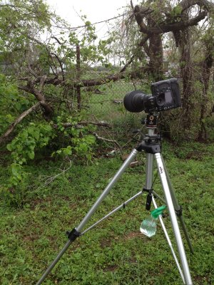 Shooting Grapevines at Work