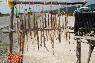 Snake Meat for sale