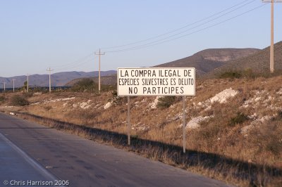 Wildlife Protection SignSan Luis Potosi, MX