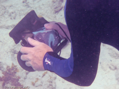 Using underwater camera