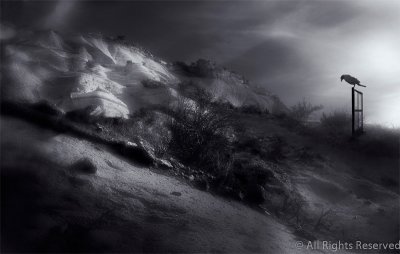 End of Year Competition Winners