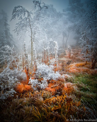 A-Open-Frosty Holloween Dawn, Sandia Peak