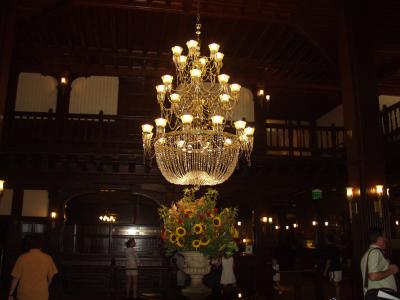 Chandelier in the lobby of the Del...