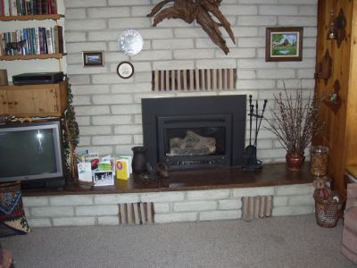 Den fireplace