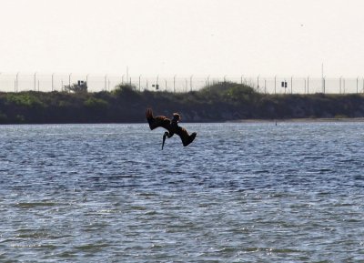 IMG_4248.jpg