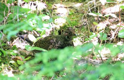 IMG_5214.jpg