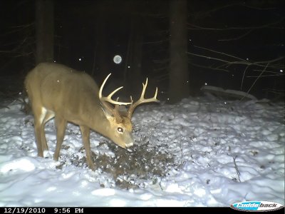 g4/15/978415/3/138613483.OvI8Sik9.jpg