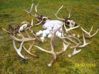 2010 season total