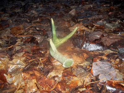 2012