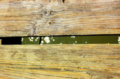 obx.052.jpg