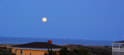 obx.078.jpg