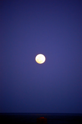 obx.079.jpg