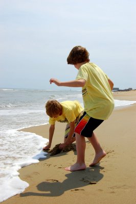 obx.088.jpg