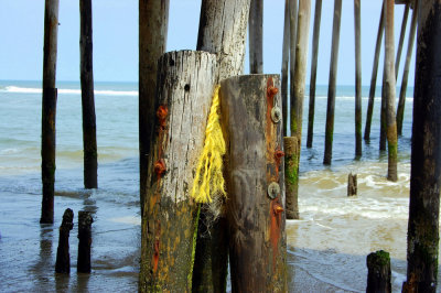 obx.101.jpg
