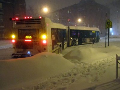 Not In Service Accordion Bus.jpg
