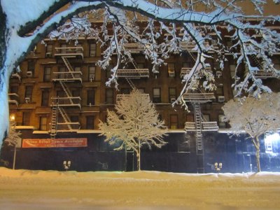 Blizzard White Trees 5.jpg
