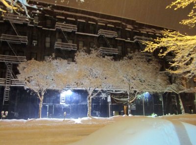Blizzard White Trees 4.jpg
