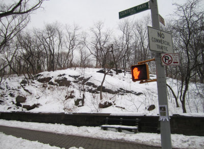 Central Park West n Orange Hand.jpg