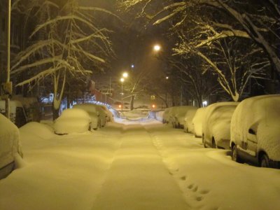 Blizzard to Central Park Night.jpg